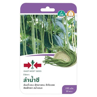 ถั่วฝักยาวลำน้ำชี ศรแดง LONG BEAN SEED EAST-WEST SEED LAMNAMCHI