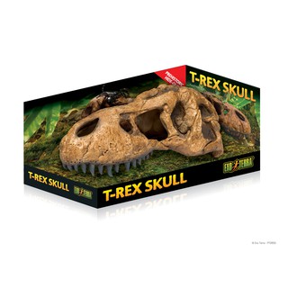 Exo Terra T-Rex Skull กระโหลกสัตว์เลื้อยคลาน ขนาดใหญ่ ซ่อนความเครียด ตกแต่งสวนขวด ที่ซ่อนตุ๊กแก จิ้งจก ป้องกันความเครียด