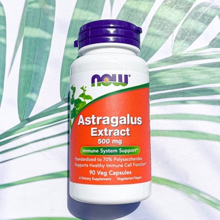 อึ้งคี้ Astragalus Extract 500 mg 90 Veg Capsules (Now Foods®) แก้ร้อนใน ต่อมน้ำเหลืองอักเสบ ปักคี้ ปักอึ้งคี้ หวงฉี