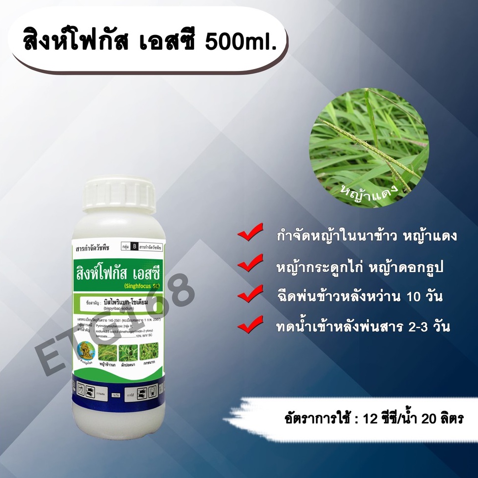 🌱สิงห์โฟกัสเอสซี 500ml.🌱บิสไพริแบกโซเดียม สารกำจัดวัชพืช กำจัดหญ้า ในนาข้าว กำจัดหญ้าแดง หญ้ากระดูกไ