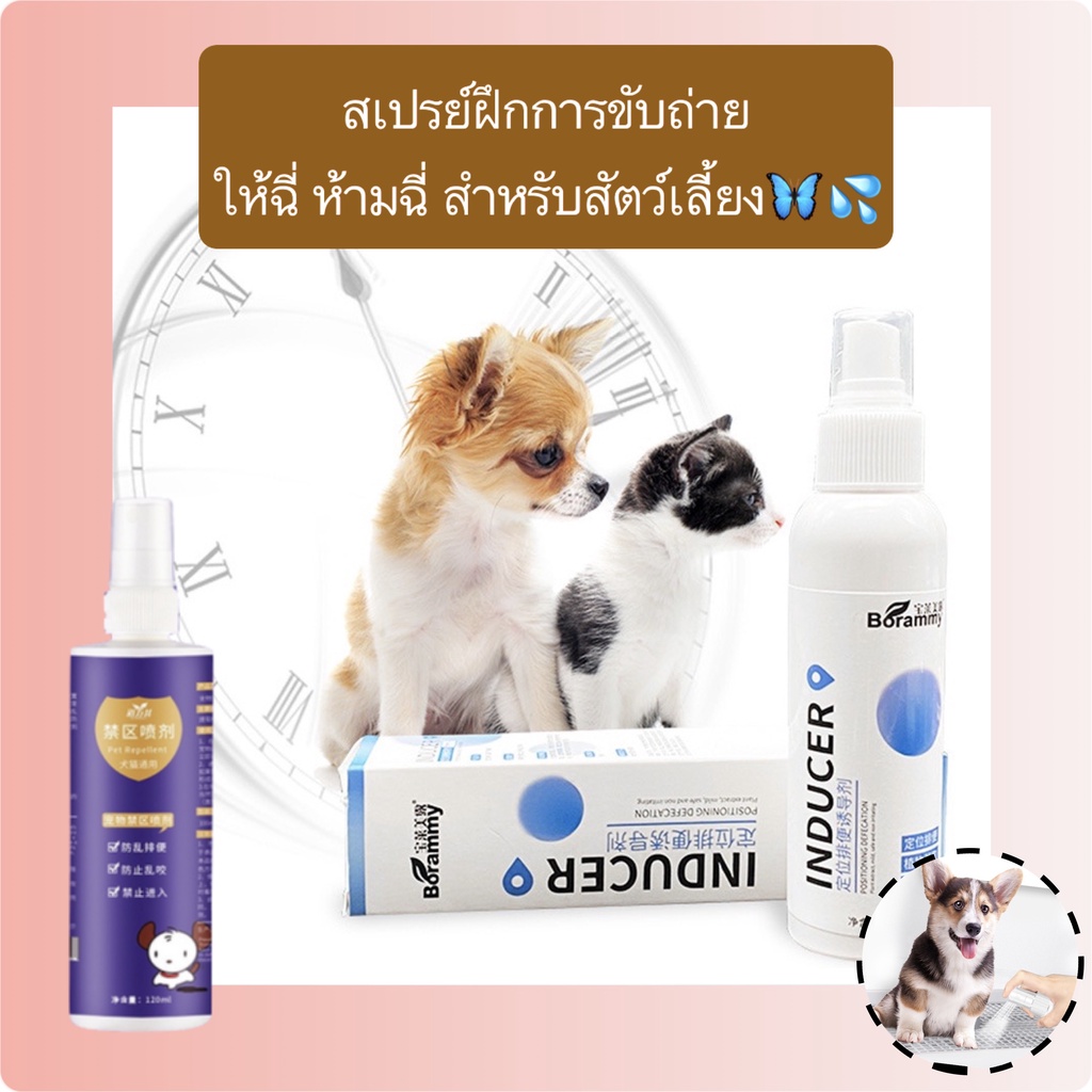 PP-356 สเปรย์ฝึกขับถ่าย สำหรับสัตว์เลี้ยง ฝึกฉี่ ฝึกขับถ่าย สำหรับสุนัขและแมว ปลอดภัย ไร้สารตกค้าง พร้อมส่ง! 🐶🐱