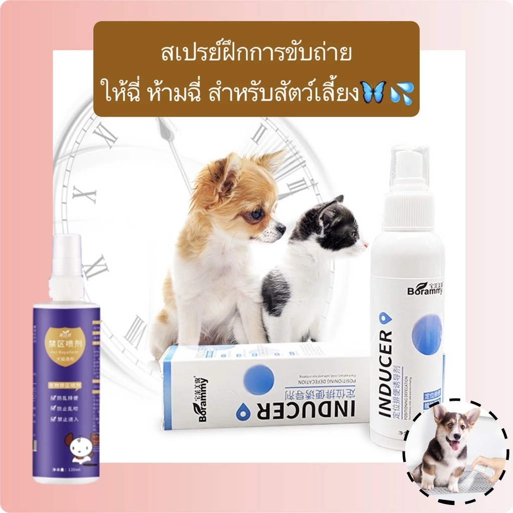 PP-356 สเปรย์ฝึกขับถ่าย สำหรับสัตว์เลี้ยง ฝึกฉี่ ฝึกขับถ่าย สำหรับสุนัขและแมว ปลอดภัย ไร้สารตกค้าง พร้อมส่ง! 🐶🐱