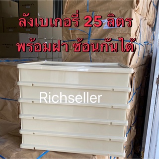 ลังเบเกอรี่ ลังใส่ขนม ลังพลาสติก 25 ลิตร ลังใหญ่ ลังสี่เหลี่ยม พร้อมส่ง