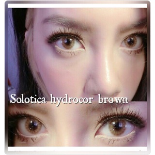 ตาฝรั่ง Solotica Hydrocor Brown