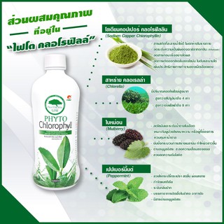 phyto chlorophyll ไฟโต คลอโรฟิลล์ PHHP ของแท้100% 500ml./ขวด