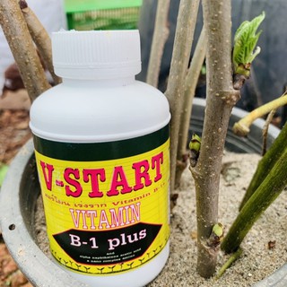 น้ำยาเร่งราก V-START B-1 ขวดละ 49 บาท ขายส่ง