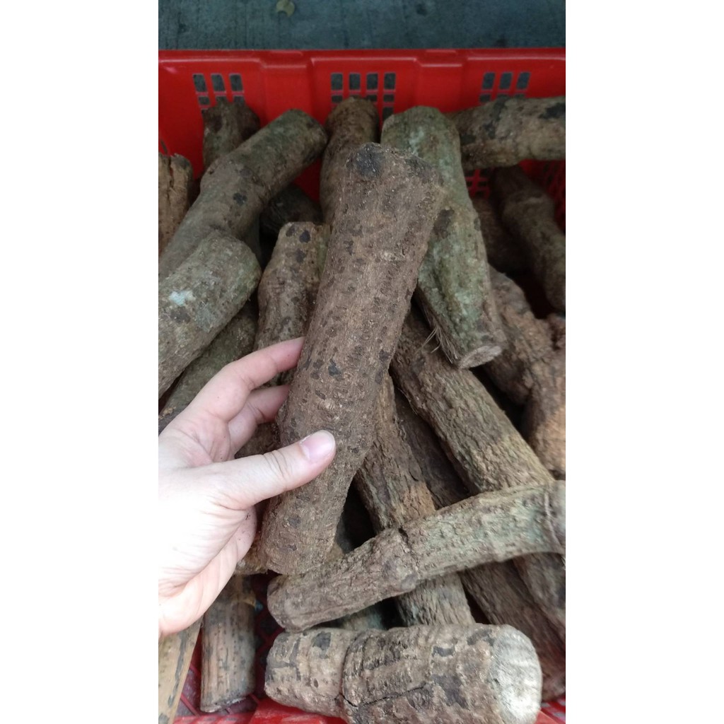 จ๊ะค่าน สะค้าน จั๊กค่าน ครึ่งกก 150  บาท จากบ้านสวน ปลอดสารพิษ เครื่องปรุง เครืองเทศ อาหาร เหนือ ให้รสเผ็ดชาลิ้น แกงแค