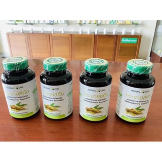 &lt;&lt;&lt;กระชายขาวสกัด บรรจุ 60 แคปซูล [HERBALONE] ผลิตภัณฑ์เสริมอาหารกระชายขาวชนิดแคปซูล