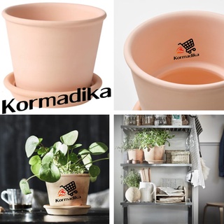 กระถางจานรอง กระถาง กระถางต้นไม้ กระถางดอกไม้ MUSKOTBLOMMA Plant pot with saucer terracotta 12 cm กระถางพร้อมจานรอง