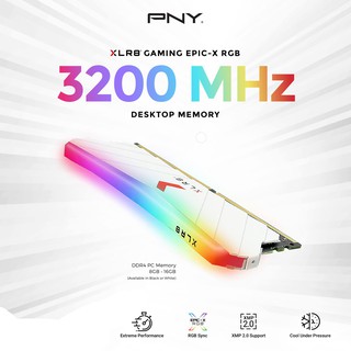 RAM PNY 8GB XLR8 White Gaming Epic-X RGB DDR4 3200MHz Desktop Memory สีขาว