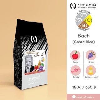 เมล็ดกาแฟดริป Costa Rica Canet Mozart | กระทรวงการคั่ว | Costa Rica Rose Strawberry Grape