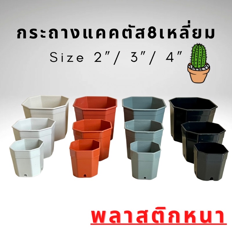 กระถางแคคตัส ทรงแปด 8เหลี่ยม ขนาด2นิ้ว 3นิ้ว 4นิ้ว กระถางกระบองเพชร กระถางปลูกต้นไม้