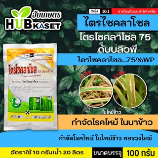 🌱 ไตรไซคลาโซล 75 ดับบลิวพี 100 กรัม (ไตรไซคลาโซล) ป้องกันโรคไหม้ในนาข้าว