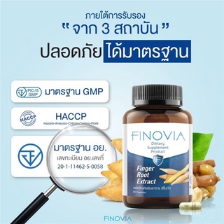 Finovia (ฟิโนเวีย) สารสกัดกระชายขาว บรรจุ 60 แคปซูล