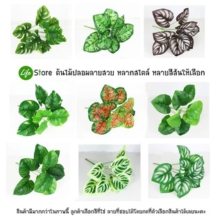 ต้นไม้ประดับหลากสไตล์หลายชนิด รุ่นขนาดใบ 10*12cm ต้นไม้ประดิษฐ์ สวยงามเสมือนจริง (พร้อมส่งในไทย ถึงเร็วทันใจ)