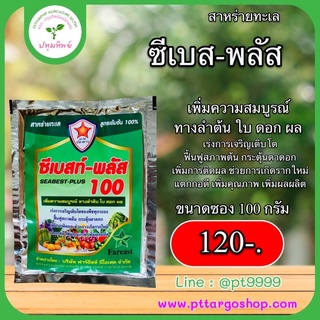 สาหร่ายทะเล ซีเบส-พลัส 100 ขนาด 100กรัม เร่งการเจริญเติบโตของพืชทุกระยะ ฟื้นฟูสภาพต้น เพิ่มการติดผลติดดอก