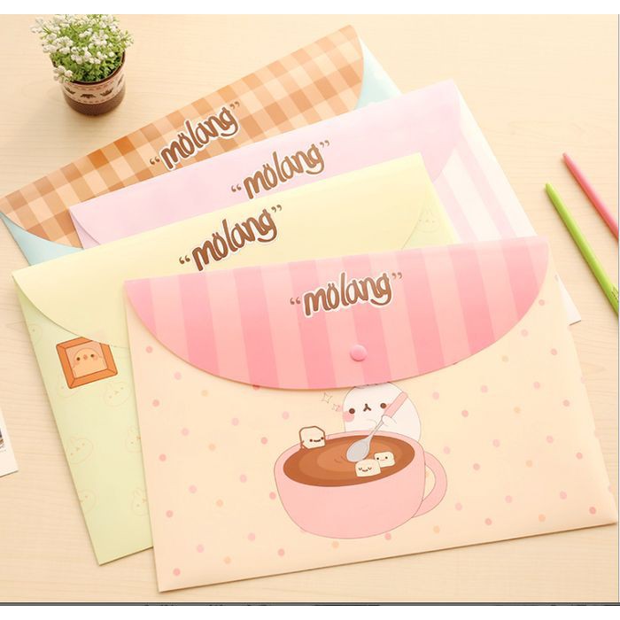 แผนที่ A4 โมลัง*****