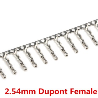 ชุดขั้วต่อสายไฟจัมเปอร์ Dupont Pin 2.54 มม. 100 ชิ้น