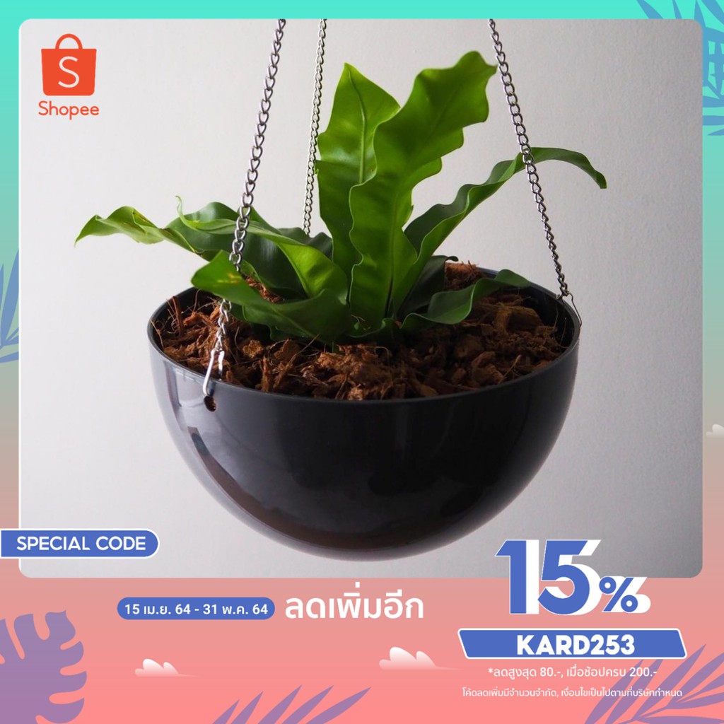กระถางแบบแขวน ขนาด 10 นิ้ว สีเทา กระถางต้นไม้พลาสติกทรงกลม