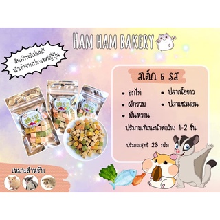 (Ham Ham Bakery) สเต็ก5รส (กะปุกทดลอง) ขนมหนูเเฮมเตอร์ หนูแฮมสเตอร์ กระรอก ชูการ์ เม่นเเคระ เเฟตเทล