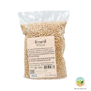 ข้าวสาลี (Wheat) 500กรัม