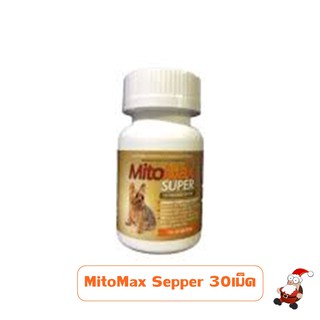 Mito Max super Small dogs