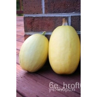 Cash on delivery 50pcs VEGETABLE SPAGHETTI SQUASH Cucurbita Pepo Seeds DJ5Dดอกไม้/ผู้ชาย/พาสต้า/บ้านและสวน/เด็ก/เสื้อ/สว