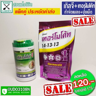 สตาร์ เกิลจี+เทอร์โม  เซ็ทคู่สุดคุ้ม ราคาประหยัด ปุ๋ยเม็ดและยากำจัดแมลงทำลายรากและดูดซึมทั้งต้น