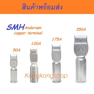 Anderson copper terminal แอนเดอสันขั้วไฟทองแดง 50A, 120A, 175A, 350A ( เป็นคู่ )