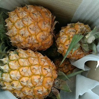 โลละ30ราคาชาวสวนอยากขาย