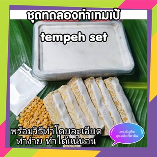 ชุดทดลองทำเทมเป้ พร้อมคู่มือการทำ Tempeh set 1 ชุด ประกอบด้วยถั่วเหลือง ออร์แกนิค Non Gmo 200 G หัวเชื้อ 10 G กล่องทำ 1