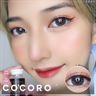 coco gray บิ๊กอายส์ตาโต สีสวยตาหวานๆ💓