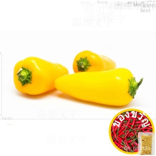 10เมล็ดผักพริกหวานสีเหลืองขนาดเล็ก (Fr SG) RWS5