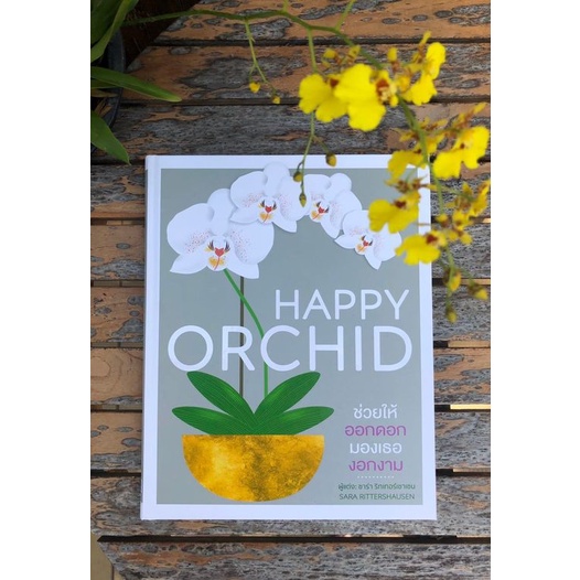 กล้วยไม้ Happy Orchid | Happy Bonsai บอนไซ | Happy CACTUS การดูแล ต้นกระบองเพชร และไม้อวบน้ำต่าง ๆ (ปกแข็ง) / DK ราคา ถูกที่สุด ดีลบีเคเค แกลเลอรีภาพที่ 5