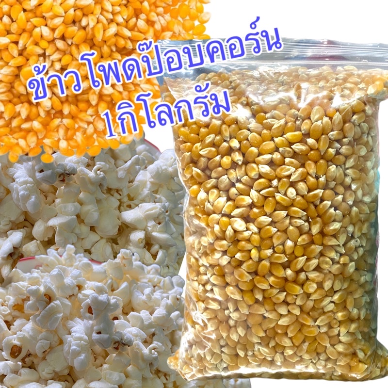 เมล็ดข้าวโพด เมล็ดป๊อบคอร์น ป๊อปคอร์น ข้าวโพดป๊อบคอร์นข้าวโพดสำหรับทำป๊อบคอร์น popcornข้าวโพดคั่ว