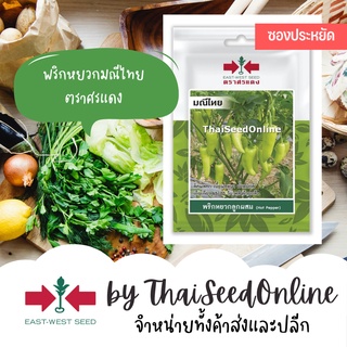 VP3 ซฟ เมล็ดพันธุ์ พริกหยวกลูกผสม มณีไทย 40 เมล็ด ตราศรแดง ซอง 10บาท Pepper