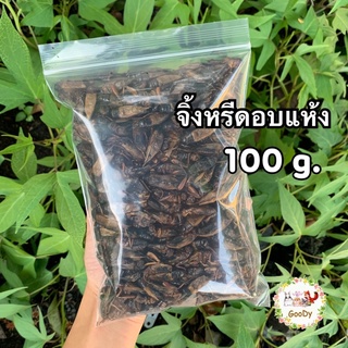 จิ้งหรีดอบแห้ง 100 กรัม/g. Dried Cricket