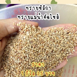 sjcactus ทรายแม่น้ำ ทรายซิลิกา ทรายสะอาด / 1 กิโล 35บาท เก็บปลายทางได้