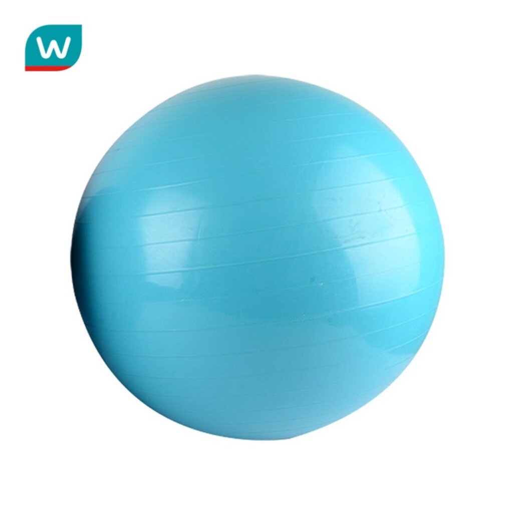 Watsons วัตสันลูกบอลสำหรับออกกำลังกาย ขนาด 65ซม. (พร้อมที่สูบลม).