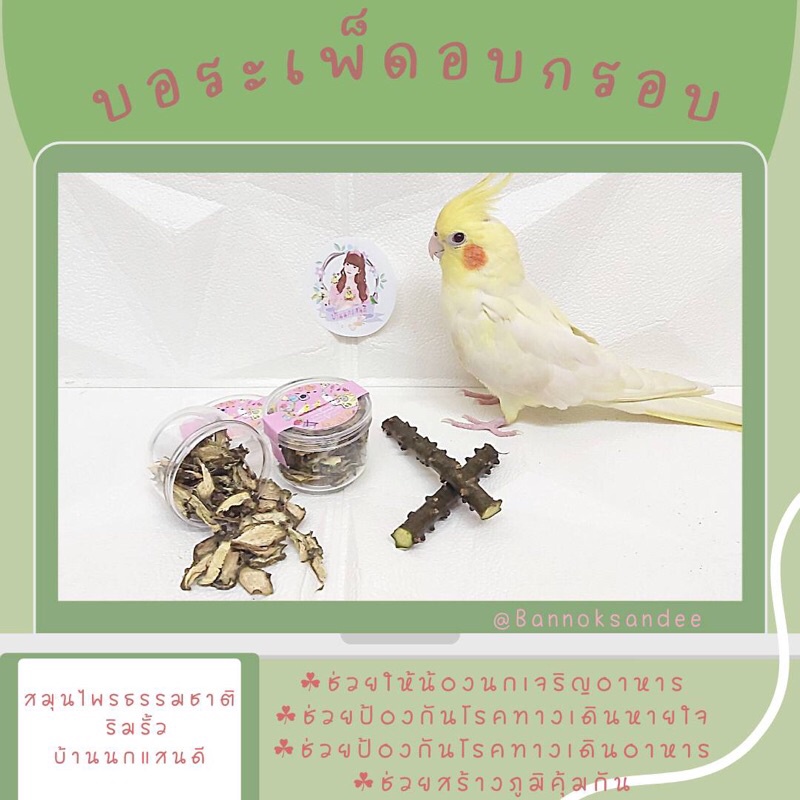 บอระเพ็ด  อบกรอบ สำหรับนก🐥