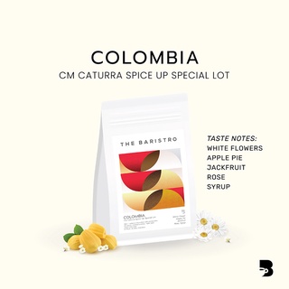 เมล็ดกาแฟ คั่วอ่อน - Colombia CM Caturra Spice Up Special Lot