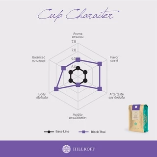 Hillkoff : เมล็ดกาแฟคั่ว อาราบิก้า คั่วเข้มมาก ฮิลล์คอฟฟ์ (Black Thai) Arabica 100% ขนาด 500 g กาแฟ อราบิก้า เมล็ดกาแฟ