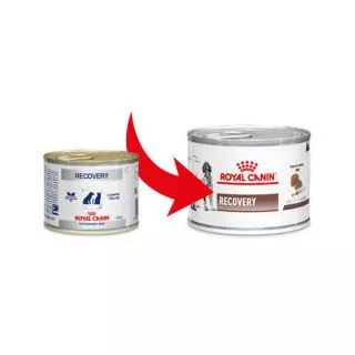 โปรดอ่านก่อนสั่ง Royal Canin Recovery 195g อาหารสัตว์ป่วย หรือพักฟื้น สุนัข และแมว 1 กระป๋อง
