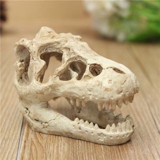 T-rex โครงกระดูกกะโหลกเรซิ่น สําหรับตกแต่งตู้ปลา สัตว์เลื้อยคลาน