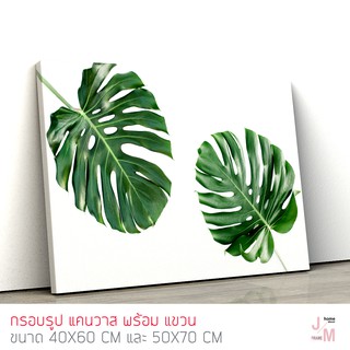 กรอบรูปแต่งบ้าน รูปติดผนัง มอนสเตอร่า Monstera