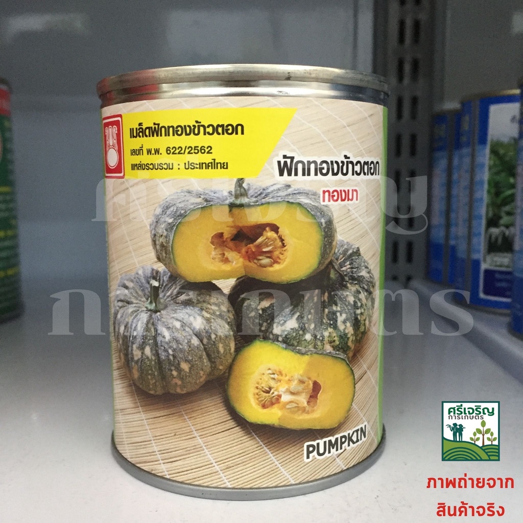 เมล็ดฟักทองข้าวตอก ทองมา 40g  น้ำเต้า