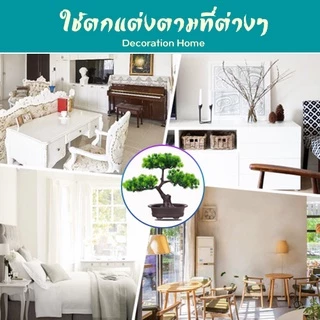 ต้นไม้ปลอม ต้นไม้ตั้งโต๊ะ บอนไซเทียม ต้นบอนไซปลอม ตกแต่งสวน ต้นไม้ปลอม ต้นไม้มงคล ต้นไม้ประดิษฐ์ สินค้าพร้อมส่ง