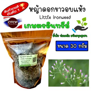 หญ้าดอกขาว หญ้าดอกขาวแห้ง หญ้าหมอน้อย ขนาด 30 กรัม Little ironweed เกรดดีที่สุด อบด้วยพลังงานแสงอาทิตย์