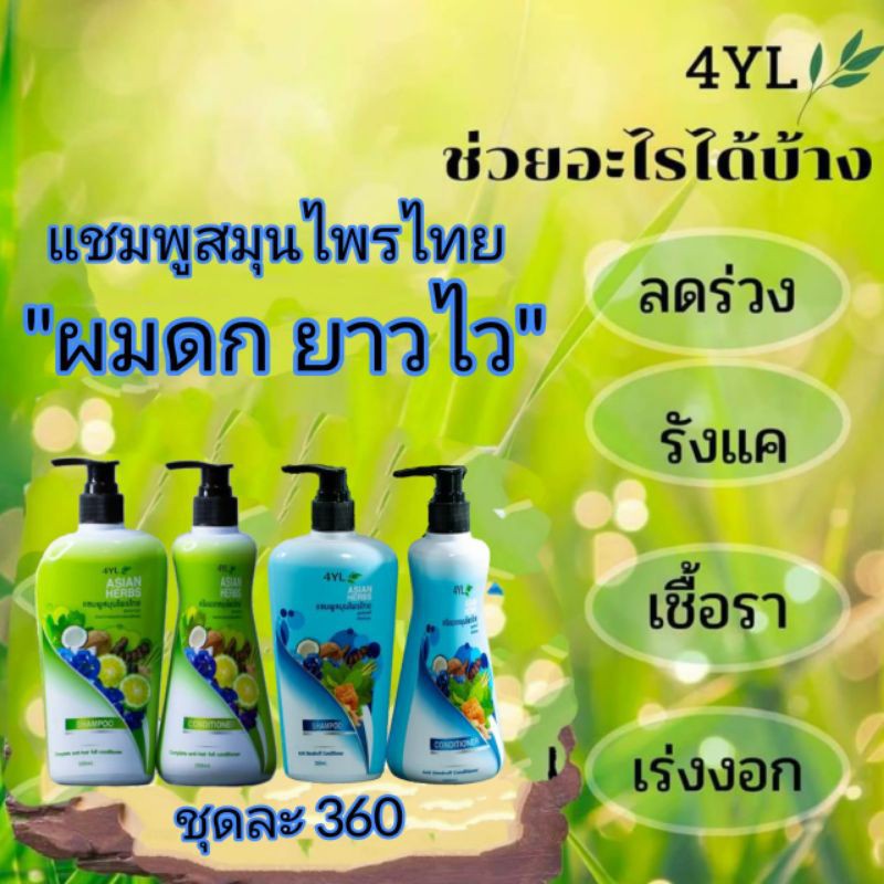 แชมพูสมุนไพร4YLของแท้100%