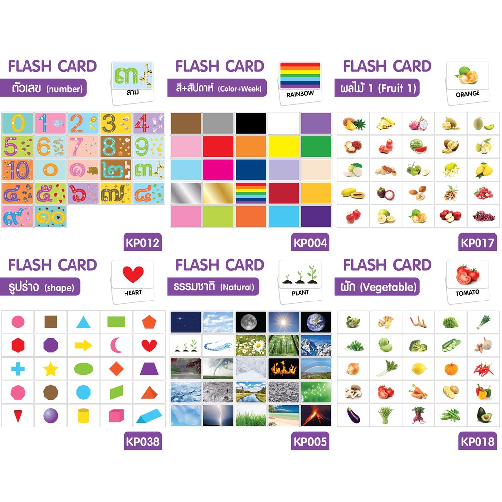 คุ้มกว่า แถม USB Boxset แฟลชการ์ด flashcard (8 หมวดเริ่มต้น) starter ...